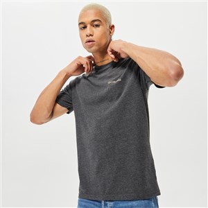 Columbıa M Basıc Sm Logo Brushed Ss Tee Erkek T-shirt